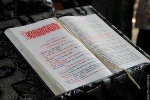 IMG_4756