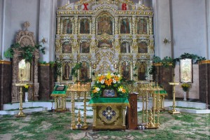 IMG_9161