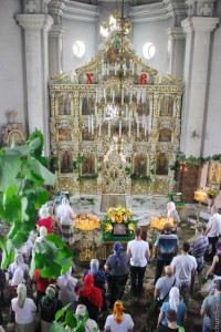 IMG_9239