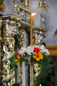 IMG_9311