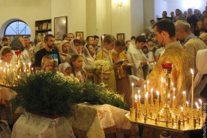 IMG_0880