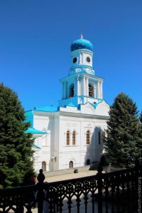 IMG_5626