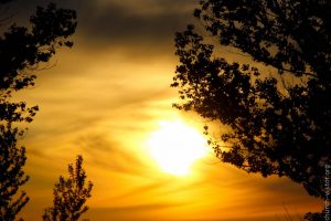 IMG_6071